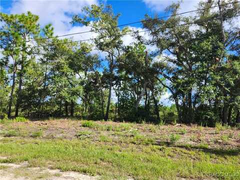 6715 N Darlington Drive, Dunnellon, FL 34434