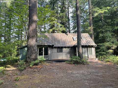 Cabin 64 Northwoods, Cougar, WA 98616