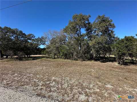 821 Wild turkey Run, New Braunfels, TX 78132