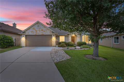 30430 Briarcrest Drive, Georgetown, TX 78628