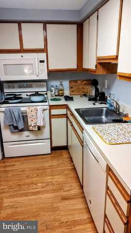 9814 HELLINGLY PLACE, MONTGOMERY VILLAGE, MD 20886