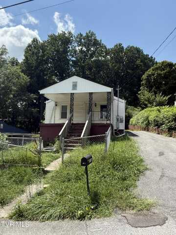 214 Stafford Street, Bristol, TN 37620
