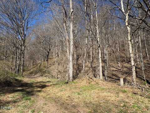 Tbd Clark Street, Saltville, VA 24370