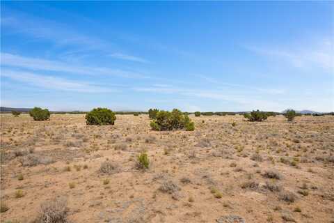 N Arroyo Drive, Seligman, AZ 86337