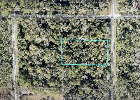TABLE ROCK DRIVE, WEBSTER, FL 33597