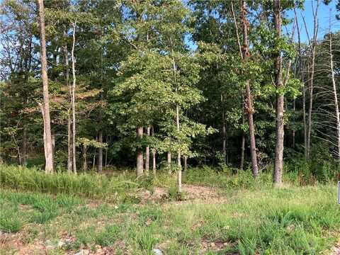 7 Macallan CT, Bella Vista, AR 72715