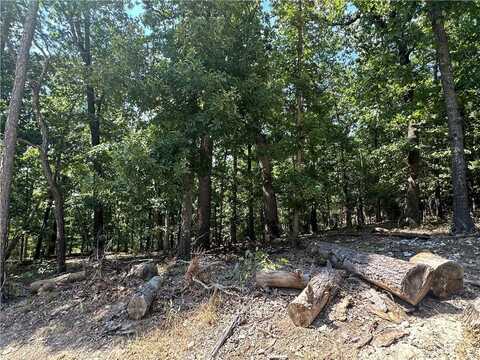 Lot 37 Hanney LN, Bella Vista, AR 72714