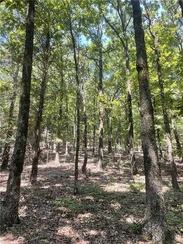 312. CR 3222, Clarksville, AR 72830