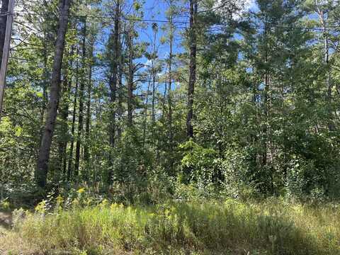 V/L .37 ac Dorothy Drive, Gaylord, MI 49735