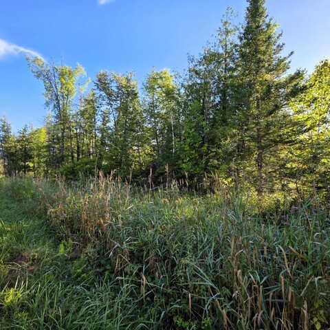 V/L 68AC Salina Road, Lachine, MI 49753