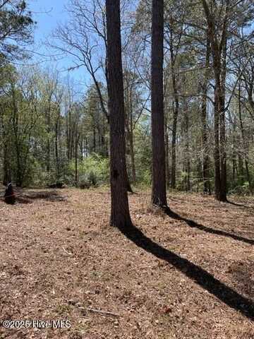 9273 Buccaneer Court NE, Leland, NC 28451