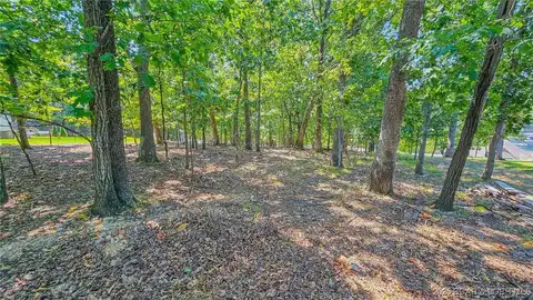 Grand Cove Road lot: #241, Sunrise Beach, MO 65079