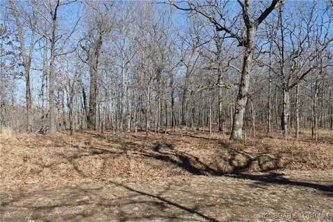 Dunn Drive unit: 1342, Edwards, MO 65326