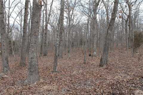 Kip Drive unit: 1632, Edwards, MO 65326