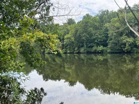 451 PERCY VINES ROAD, BESSEMER, AL 35130