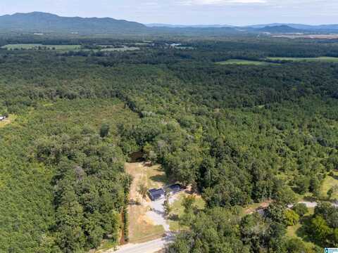 668 JONES CHAPEL ROAD, PIEDMONT, AL 36272