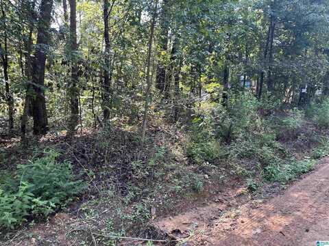 12745 CLYDE CIRCLE, Mc Calla, AL 35111