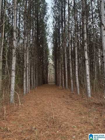 0 COUNTY ROAD 15, MAPLESVILLE, AL 36750