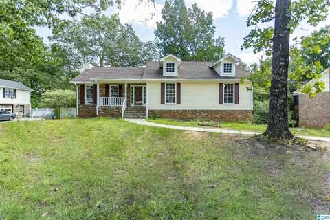 917 DUNRIDGE DRIVE, BIRMINGHAM, GA 35215