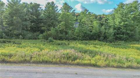 Beaver Meadow, Lima, NY 13622