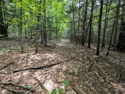 Buck Hollow Road, Hornby, NY 14812