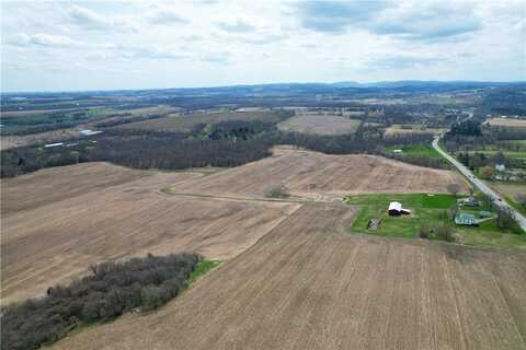 Lot State Route 444 Road, East Bloomfield, NY 14469
