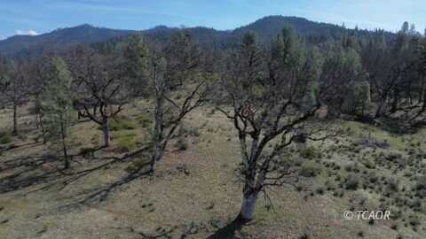 305 Pine Ave, Hayfork, CA 96041