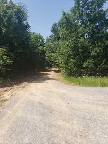 Lot 9 Longhorn Drive, Garfield, AR 72756