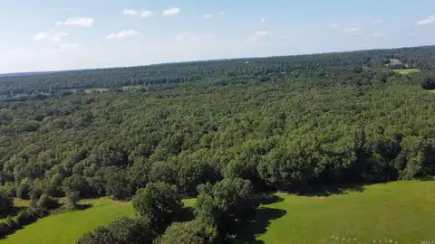 00 Centerpoint Loop, Vilonia, AR 72173