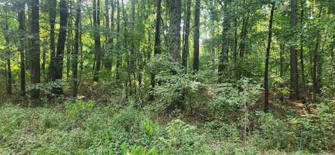 000 Joel Road, Star City, AR 71667