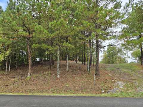 Old Alabama Road SW, Mc Donald, TN 37353