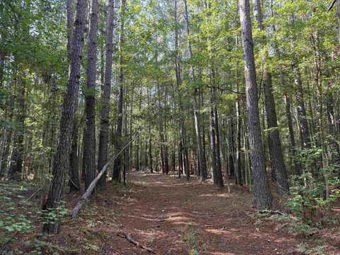 33.5 Acres-TBD Union Church Rd., Salters, SC 29590