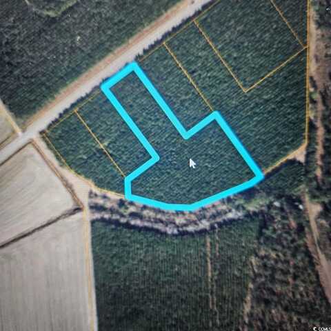 TBD Highway 45, Loris, SC 29569