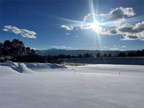 17147 Copper Valley Court, Monument, CO 80132