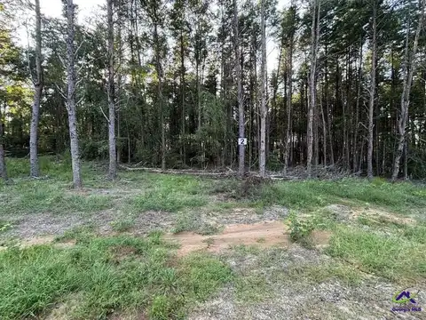 Lot 2 Trojan Way, Byron, GA 31008