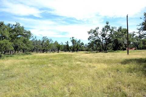185 -- Palomino Oaks Dr, Harper, TX 78631