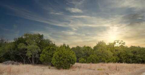 1055 -- Cielo Springs Dr, Blanco, TX 78606