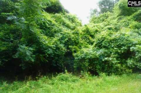 Fringetree Road Road, Saint Matthews, SC 29135