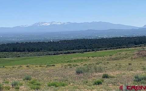 TBD 17.9 Lot 12, Cortez, CO 81321