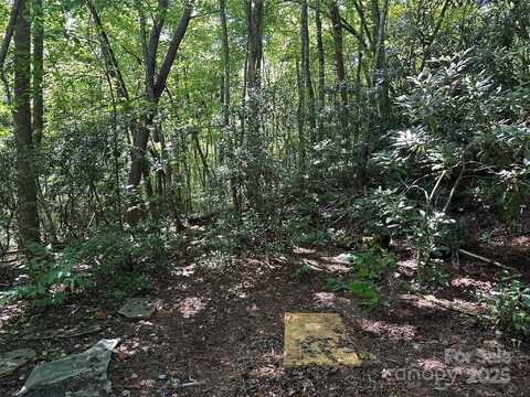 Lyle Downs Road, Franklin, NC 28734
