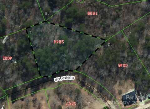 99999 Bunny Drive, Marion, NC 28752