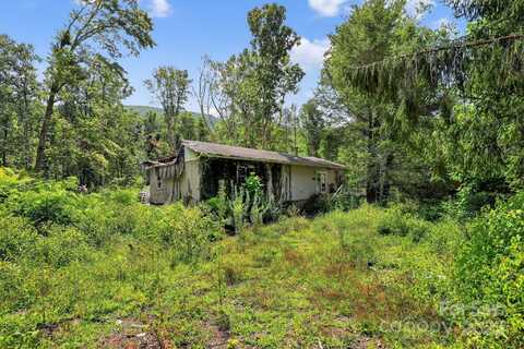 1339 Bee Tree Road, Swannanoa, NC 28778