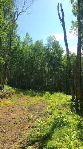 59XX Tri-Lakes Rd, Oakland, WI 54880