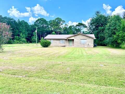 106 Alva St, Samson, AL 36477