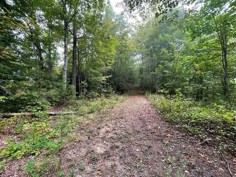 Lt 53 Still Branch Rd, Whittier, NC 28789