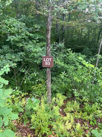 Lot 93 Garnet Ridge, Sylva, NC 28779