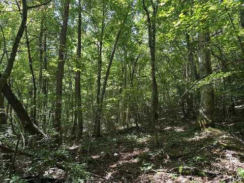 Lyle Downs Road, Franklin, NC 28734