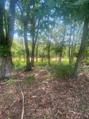 1764 Flatbottom Road, Ball Ground, GA 30107