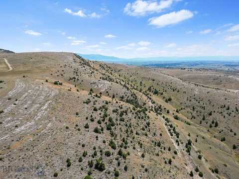 Prickly Pear, Manhattan, MT 59741