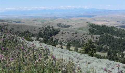 Pole Gulch lot: 358, Three Forks, MT 59752